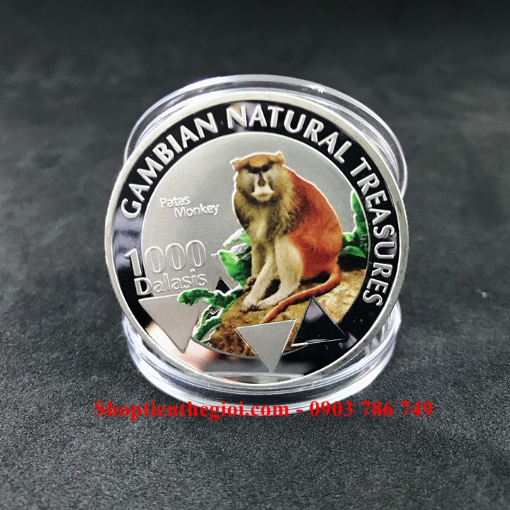 Xu hình con Khỉ Gambia 1000 Dalasis 2015 - SP005213